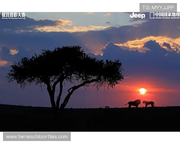 蔚山与马梅洛迪日落比赛创下新低仅3412人现场观赛